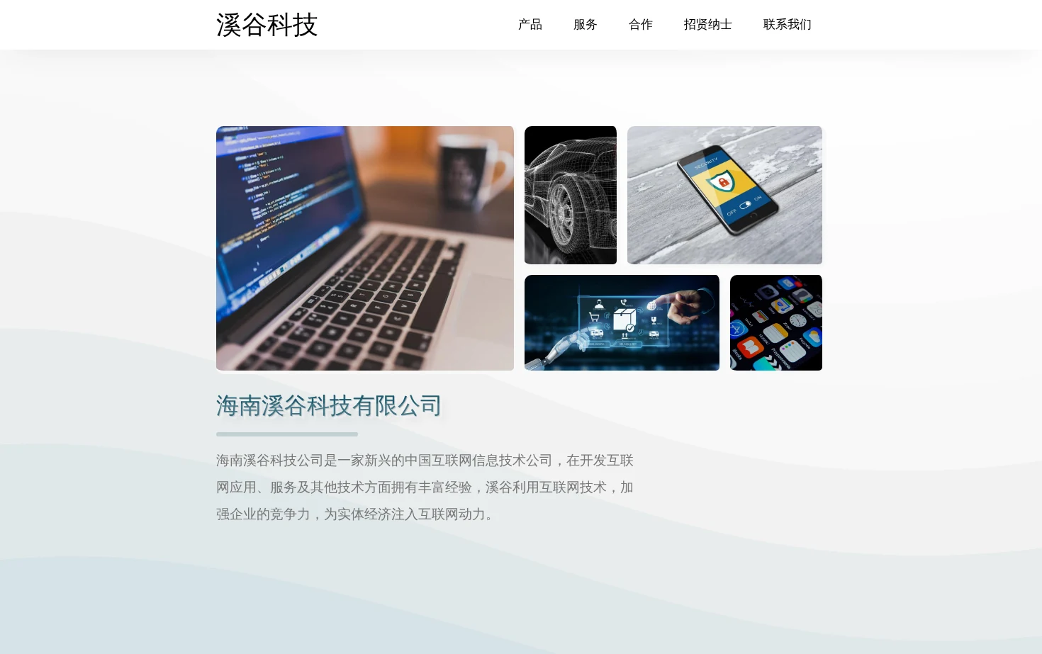 海南溪谷科技有限公司 页面快照